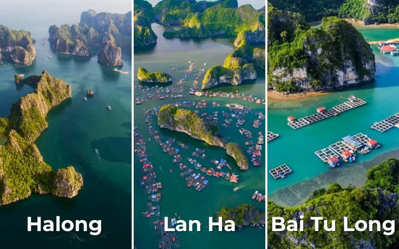 The Route (Halong vs. Lan Ha vs. Bai Tu Long).