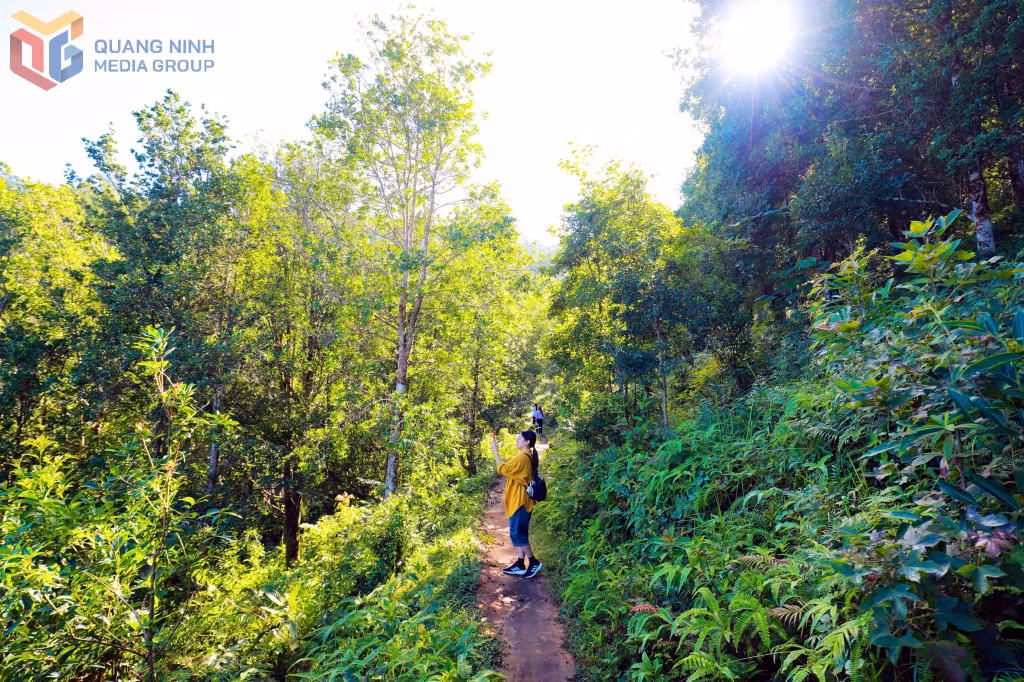 A climb to the summit amid the lush green landscapes of Cao Xiem.