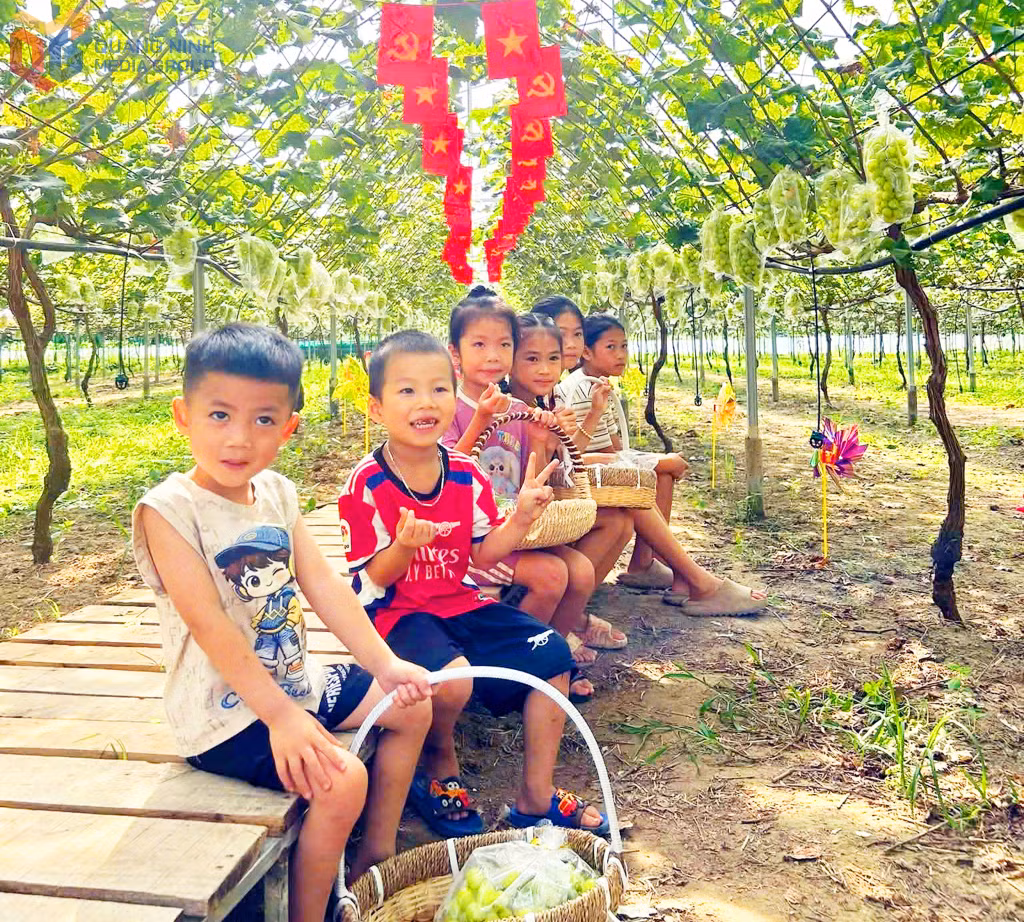 Children experience grape picking at the vineyard.