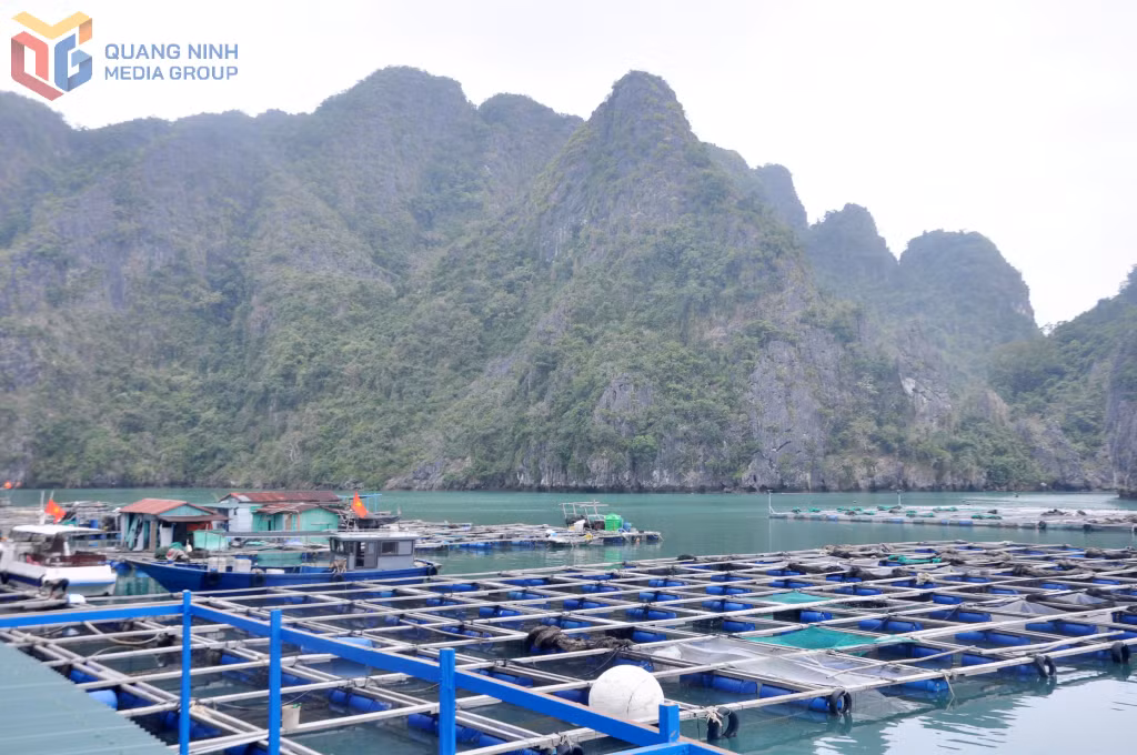 Van Don has strong potential for experiential tourism linked with its extensive aquaculture areas.