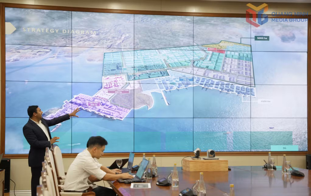 A representative of the investor presents the project development concept.