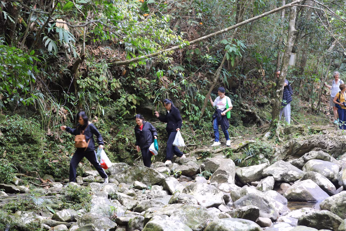 Exploring magnificent waterfalls in Bach Ma National Park