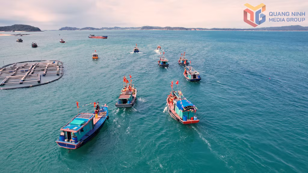 Festival flags flying at the bows of boats represented not only the festive spirit but also the determination and aspirations of Co To’s fishermen to venture offshore, maintain their livelihoods at sea and safeguard their maritime domain.