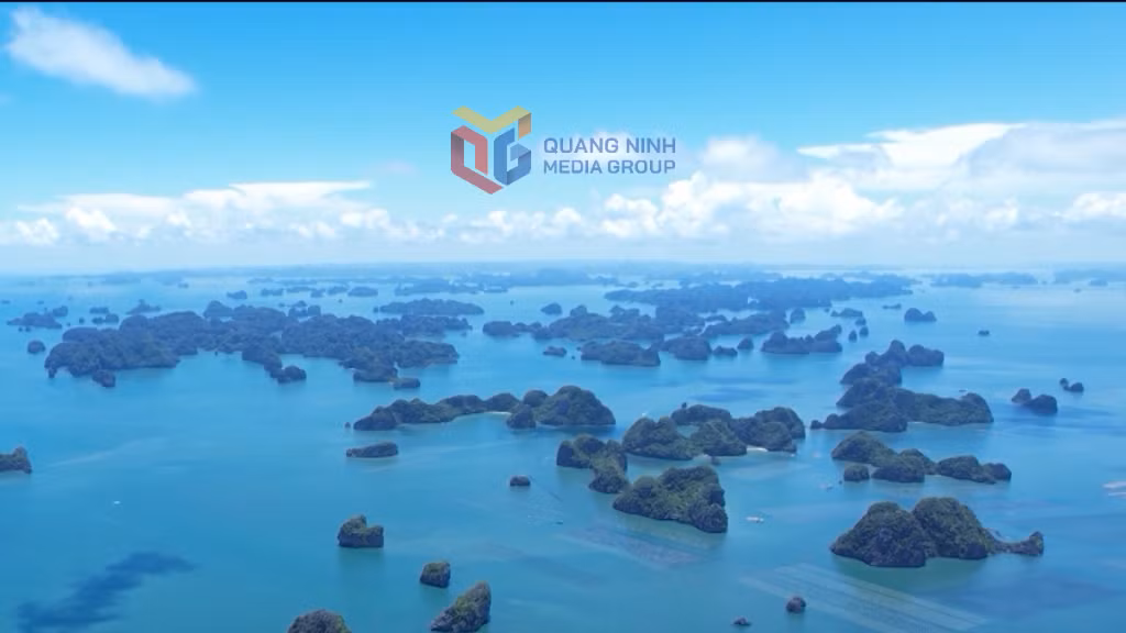 A panoramic aerial view of Ha Long Bay reveals hundreds of limestone islands mirrored in emerald waters, where pristine natural beaches lie hidden.