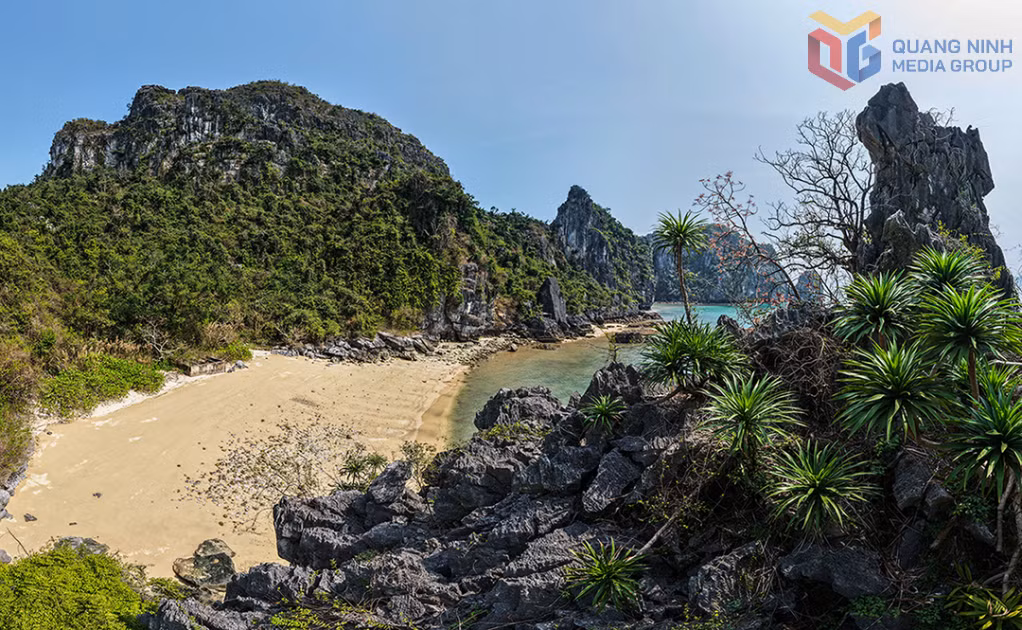 Endemic flora across the limestone island system helps shape a rich and diverse ecosystem.