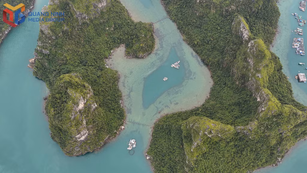 The unique sea-aged wine farm is located right next to Cua Van Fishing Village.