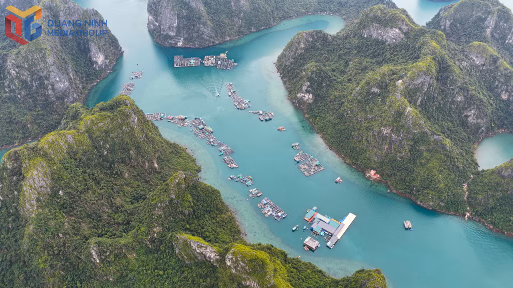 The tranquil Cua Van Fishing Village on Ha Long Bay.