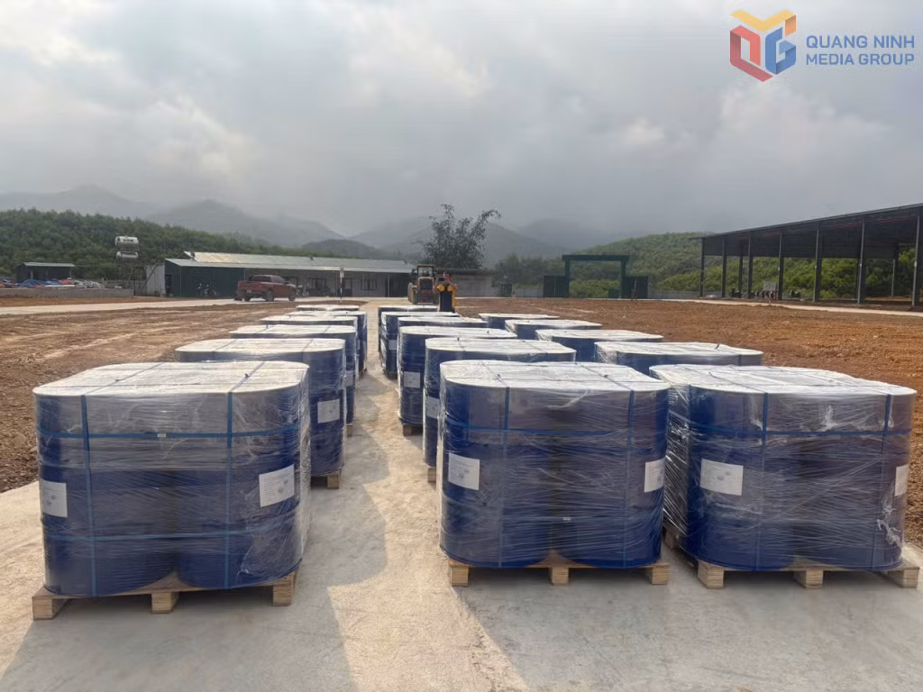 A 160-tonne shipment of cinnamon essential oil from Ba Che Cinnamon One Member Co., Ltd. was exported to the United States on the morning of March 23.