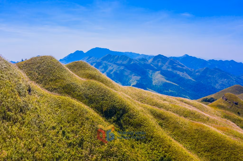Lost in the reed flower paradise in Binh Lieu ảnh 3