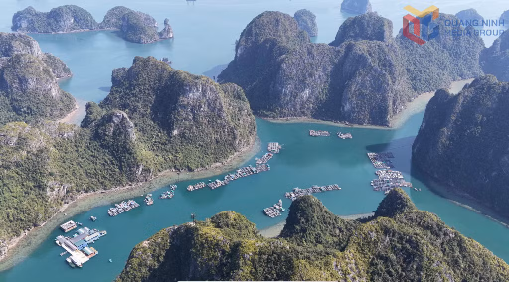 Beyond its cinematic value, the film is also contributes to promoting the unique beauty of Ha Long Bay in particular, and the culture and people of Quang Ninh in general, to international audiences.
