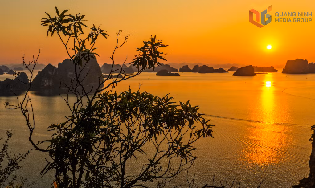 Together, these elements combine to form a poetic and striking landscape, reminiscent of a majestic ink-wash painting.