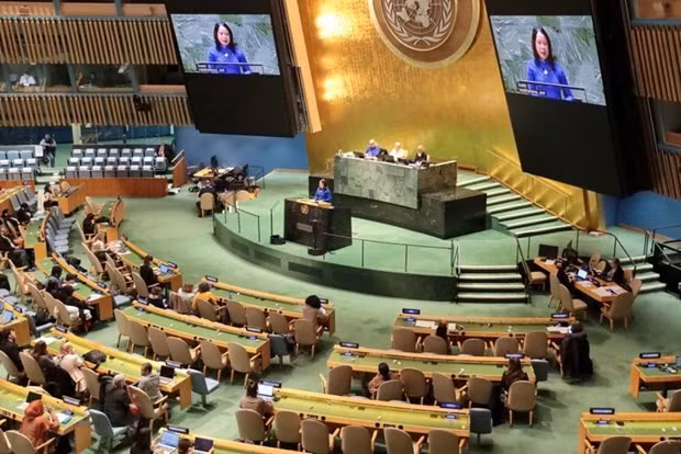 Vietnam strongly committed to promoting gender equality, women's rights: Ambassador hinh anh 1