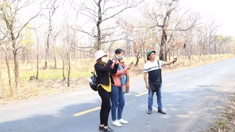 Many young people are also excited by the beauty of the khop forest in the dry season.