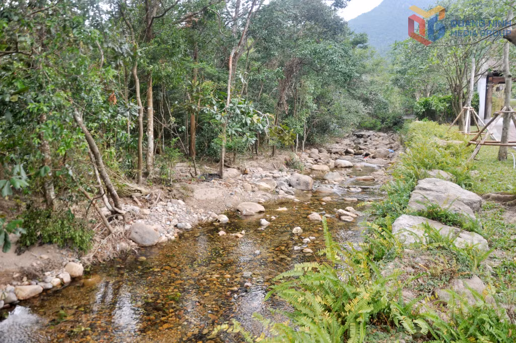 Autumn and winter are also considered the most beautiful seasons in Yen Tu. The air is cool and gentle, and the Giai Oan stream runs crystal clear, revealing even the small pebbles beneath its surface.