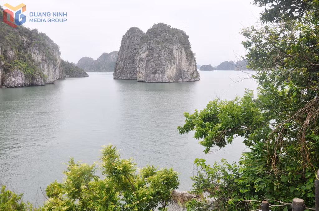 The poetic beauty of Ha Long Bay is seen from the path leading up to Co cave.