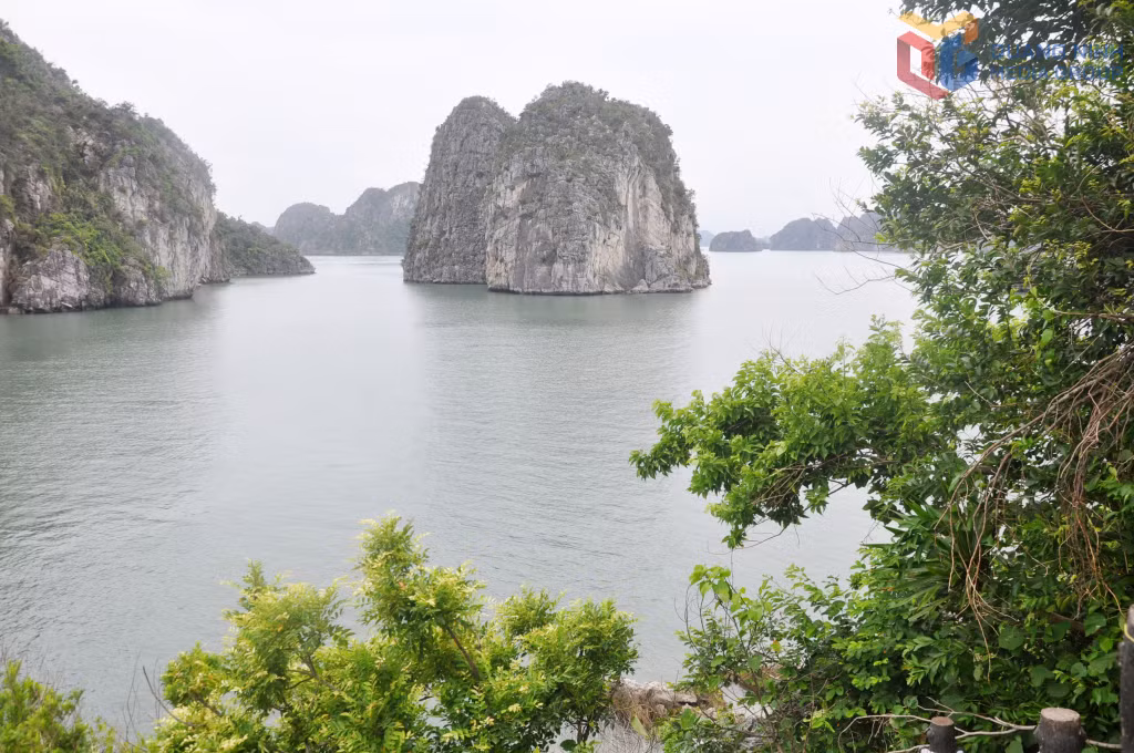 From Co cave, visitors are treated to a poetic vista of the bay, where calm waters, limestone islets, and soft light blend into a serene and dreamlike seascape.