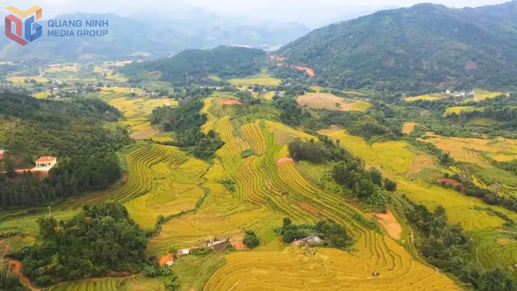 Golden terraced fields, shimmering with ripened rice against a peaceful mountain backdrop, draw visitors to remote highland villages.