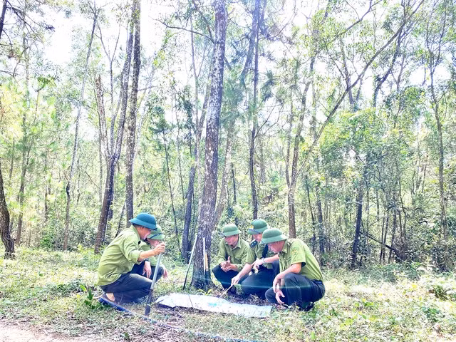Rangers patrol forests in the Hồng Lĩnh mountain range in the central province of Hà Tĩnh. — VNA/VNS Photo Hữu Quyết