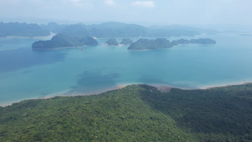 The national park of Bai Tu Long, founded in 2001, covers more than 15,780ha in the Minh Chau, Ha Long, and Van Yen communes of Van Don district, including 6,125ha of over 80 islands and islets and almost 9,660ha of sea surface.