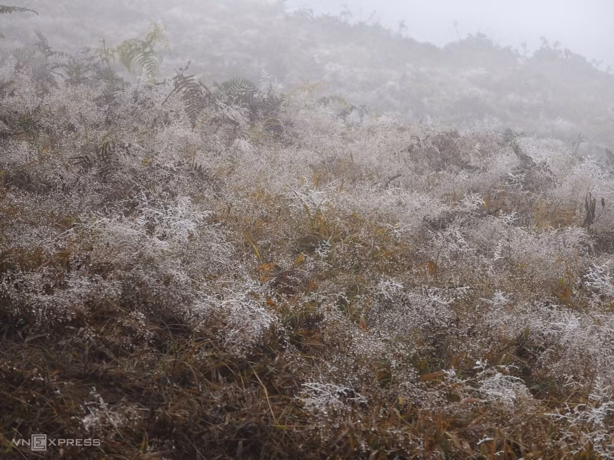 Frost blankets high mountain peaks in northern Vietnam