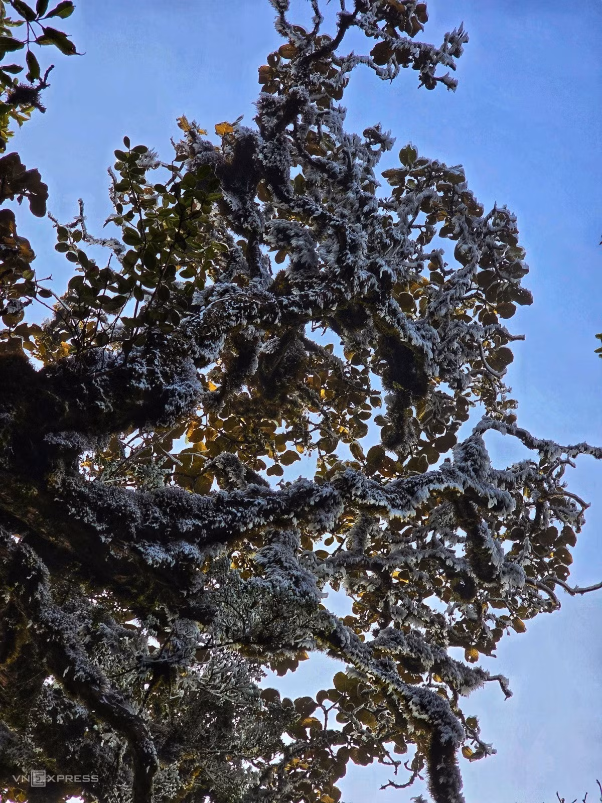 Frost blankets high mountain peaks in northern Vietnam