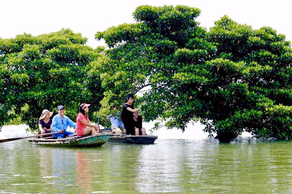 Dong Rui coastal mangrove forests spanning 3,000 hectares is considered the most beautiful and unspoiled mangrove forests in northern Vietnam.