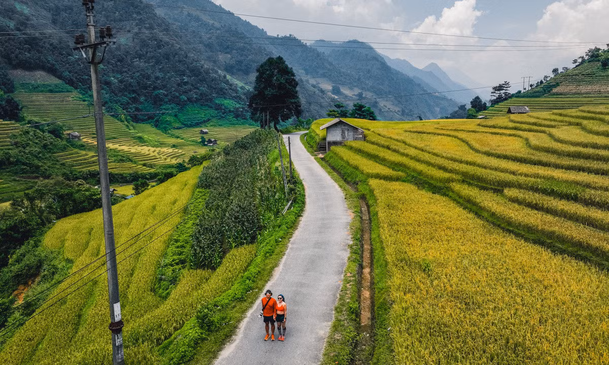 Nam Cang: embracing nature's golden season in the highlands