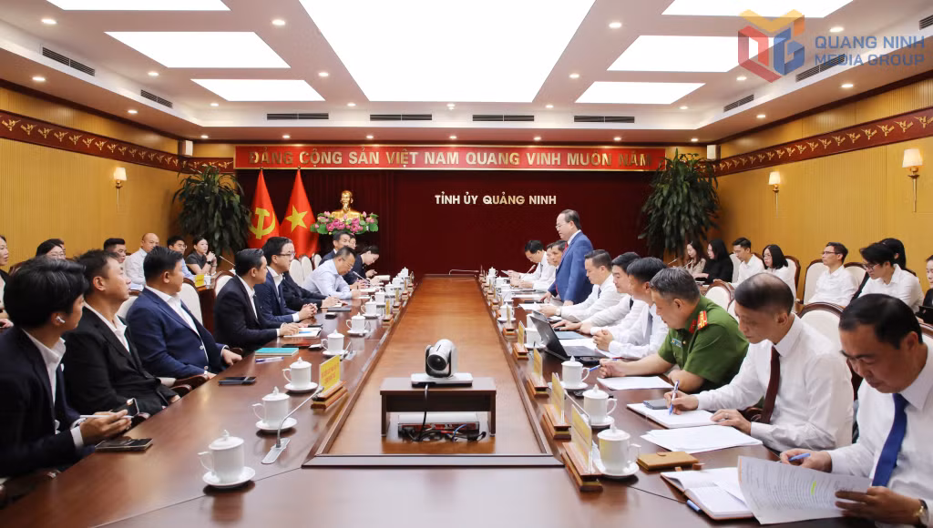 The overview of the meeting. 