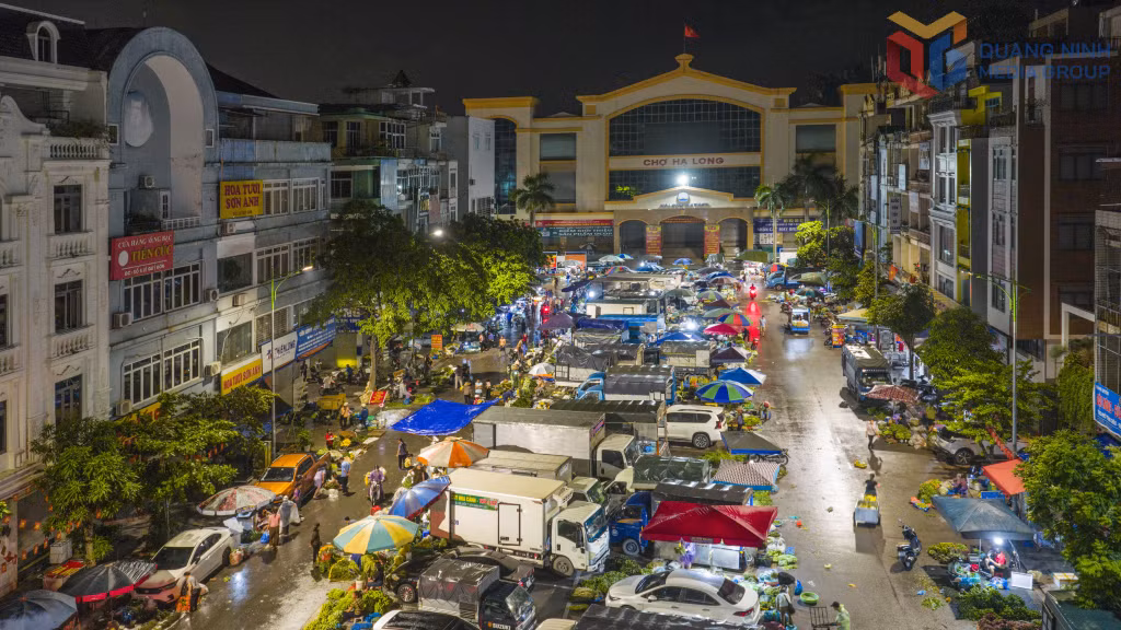 From around 10:00 p.m. until 5:00–6:00 a.m, Ha Long Market 1 peaks as a major wholesale hub for the collection and distribution of goods across Quang Ninh province.