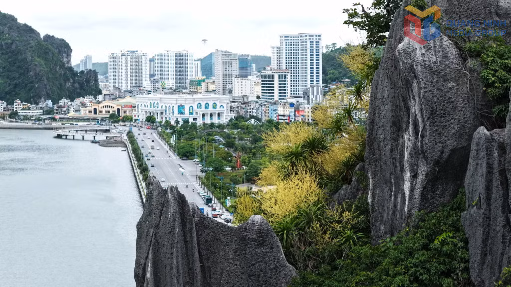 From above, the flowering shrubs cling steadfastly to the sheer limestone cliffs, delicate yet resilient, creating a poetic harmony between the timeless beauty of Ha Long Bay's natural heritage and the vibrant rhythm of modern life along its shores.