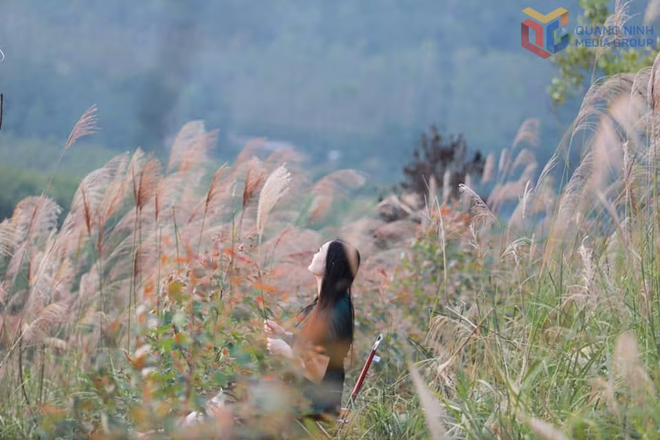 Residents and visitors enjoy checking in amid the blooming silver grass on Cao Ba Lanh Mountain. Photo:Hoang Duc Bang.