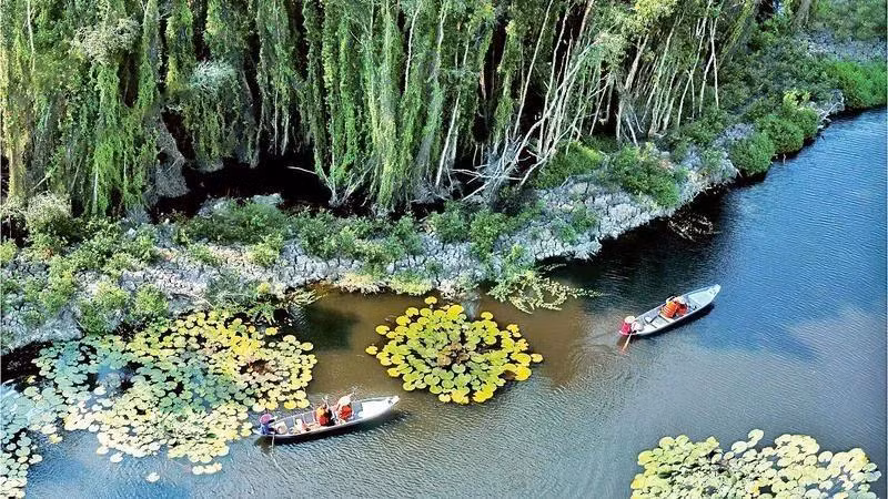 Tourists visit the cajuput forest in Dong Thap Muoi in Long An province (Source: nhandan.vn)