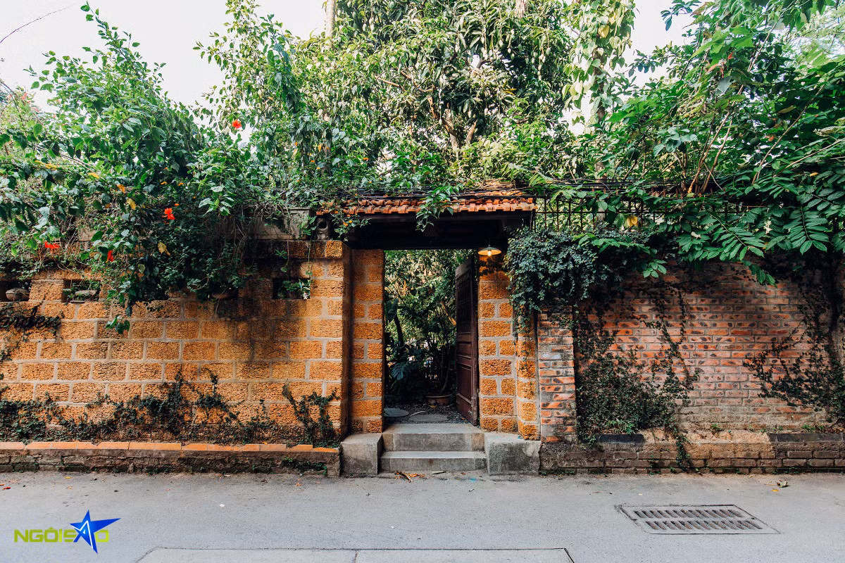 Escape to greenleaf retreat: A tranquil coffee spot in Hanoi