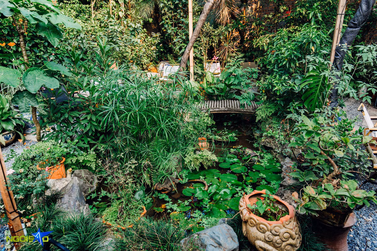 Escape to greenleaf retreat: A tranquil coffee spot in Hanoi