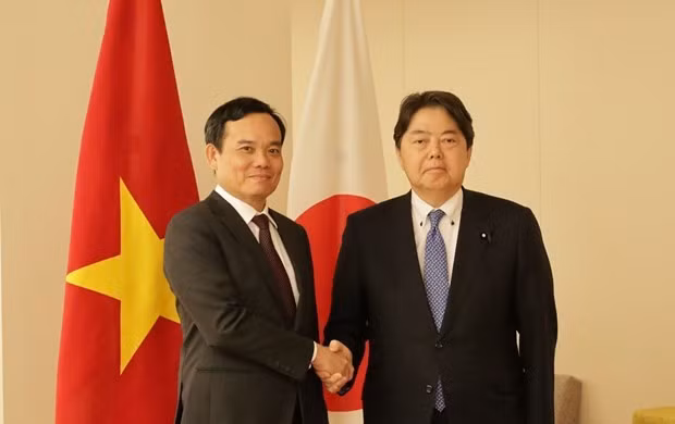 Deputy PM Tran Luu Quang (L) meets with Japanese Foreign Minister Hayashi Yoshimasa in Tokyo on May 25. (Photo: VNA)