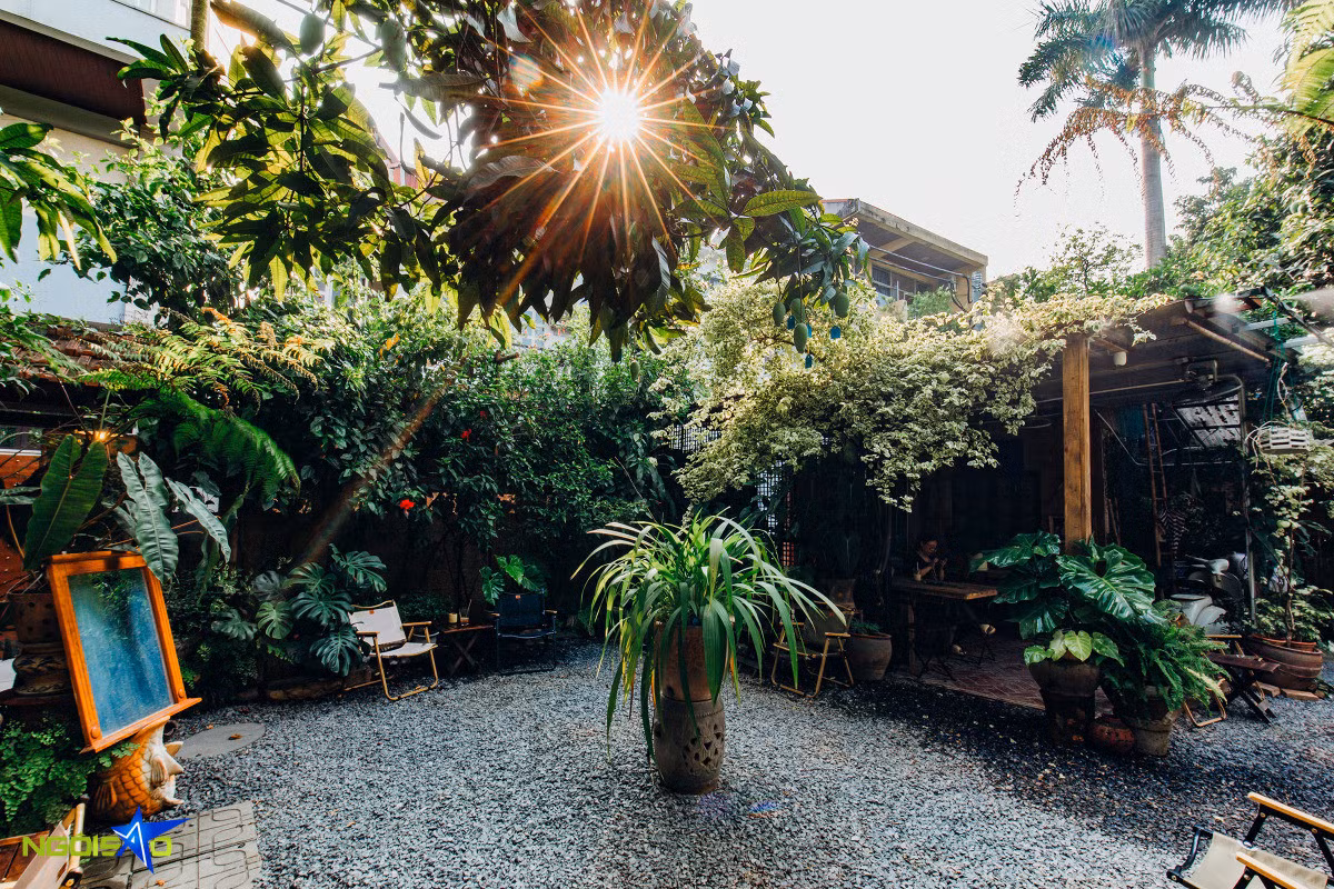 Escape to greenleaf retreat: A tranquil coffee spot in Hanoi