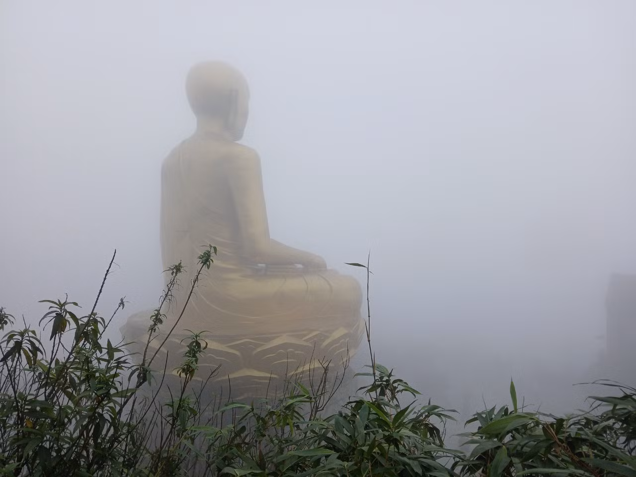 Buddha Statue Yen tu