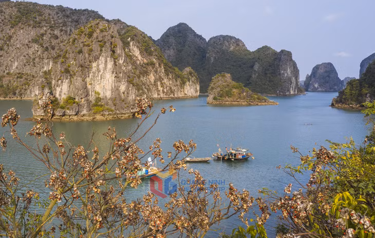 Bình yên
