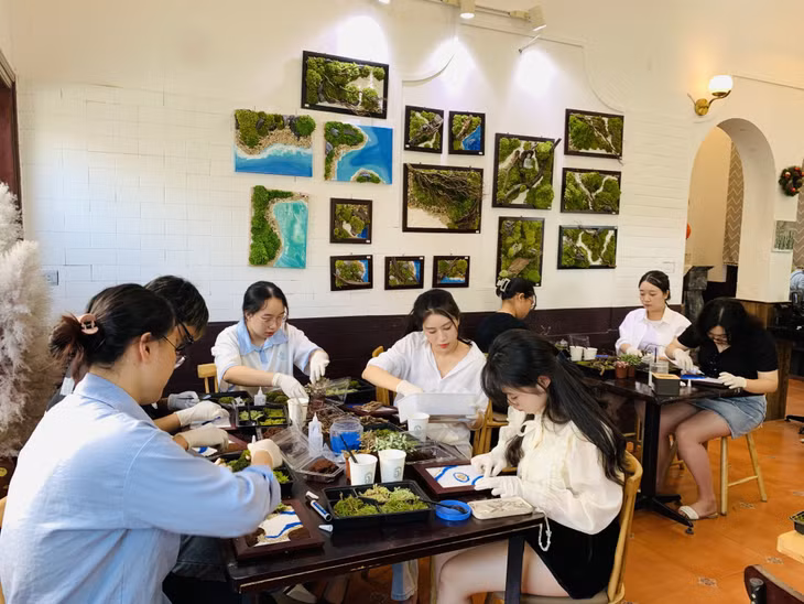 Moss painting workshop in Ha Long city attracts many participants, especially young people.