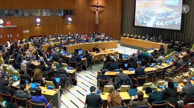 Participants at the plenary session of the United Nations General Assembly’s Sixth Committee. — VNA/VNS Photo