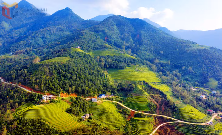 The stunning golden harvest scenery combined with the rich Tay cultural heritage creates a unique charm for the 2025 yellow harvest festival.
