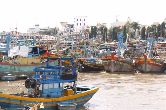 Fishing vessels from Lâm Đồng Province anchor along the Cà Ty River in Phan Thiết Ward. — VNA/VNS Photo