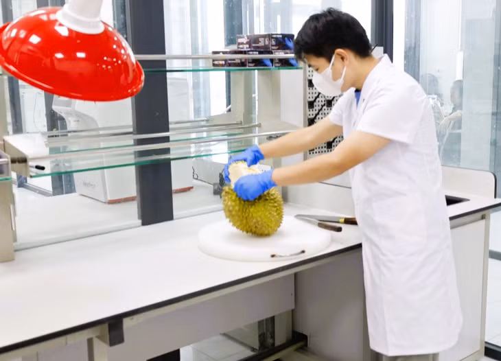 The testing laboratory, located at the Bac Luan II Border Gate area in Mong Cai 1 Ward, operates in accordance with international standards. File photo: mongcai.gov.vn.