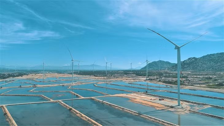 Vietnam is calling for international assistance to realise its net-zero emission goal by 2050