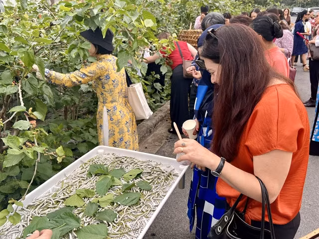 Guests visit a mulberry field at the VIETSERI.