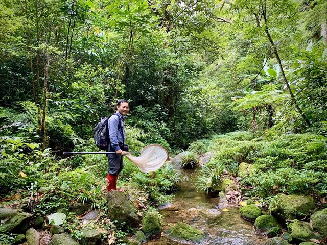 INSECT HUNTER: Phan Quốc Toản collects dragonflies in a jungle in central Việt Nam for his research. Toản has discovered 38 new species since 2016. Photo courtesy of Phan Quốc Toản