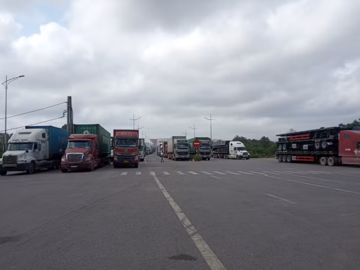 As many as 21,047 container trucks carrying 355, 448 tons of goods were allowed to run through the border gate of Bac Luan Bridge No. 2.