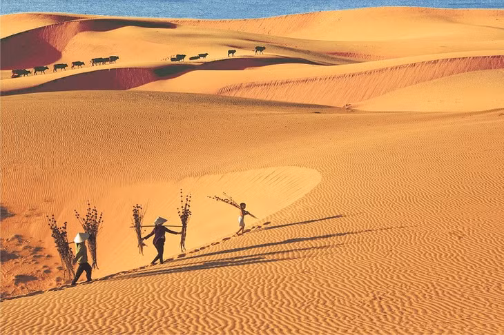 Mui Ne sand dune, a tourist attraction in Binh Thuan Province