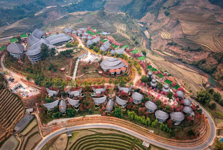 Forest peach blossoms bloom all over Mu Cang Chai