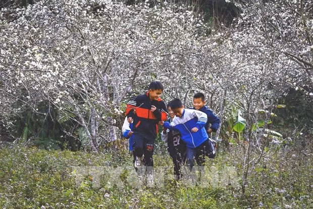 Vietnam promotes tourism to ASEAN market hinh anh 1